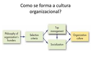Como se forma a cultura
   organizacional?
 