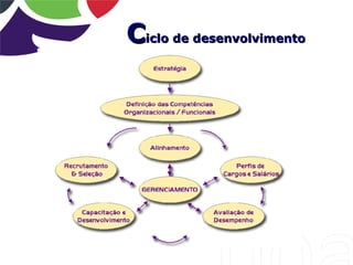 Ciclo de desenvolvimento
 