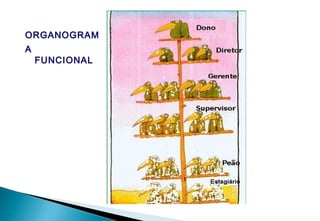 ORGANOGRAM
A
FUNCIONAL
 