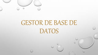 GESTOR DE BASE DE
DATOS
 