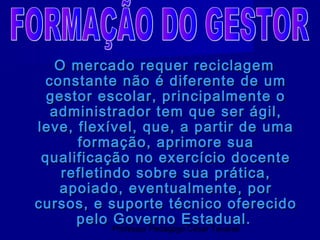 O mercado requer reciclagem
 constante não é diferente de um
  gestor escolar, principalmente o
  administrador tem que ser ágil,
leve, flexível, que, a partir de uma
      formação, aprimore sua
 qualificação no exercício docente
    refletindo sobre sua prática,
   apoiado, eventualmente, por
cursos, e suporte técnico oferecido
      pelo Governo Estadual.
            Professor Pedagogo César Tavares
 