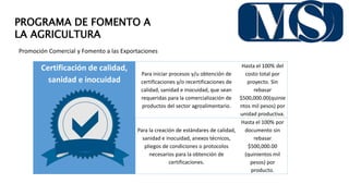 PROGRAMA DE FOMENTO A
LA AGRICULTURA
Promoción Comercial y Fomento a las Exportaciones
Certificación de calidad,
sanidad e inocuidad
Para iniciar procesos y/u obtención de
certificaciones y/o recertificaciones de
calidad, sanidad e inocuidad, que sean
requeridas para la comercialización de
productos del sector agroalimentario.
Hasta el 100% del
costo total por
proyecto. Sin
rebasar
$500,000.00(quinie
ntos mil pesos) por
unidad productiva.
Para la creación de estándares de calidad,
sanidad e inocuidad, anexos técnicos,
pliegos de condiciones o protocolos
necesarios para la obtención de
certificaciones.
Hasta el 100% por
documento sin
rebasar
$500,000.00
(quinientos mil
pesos) por
producto.
 