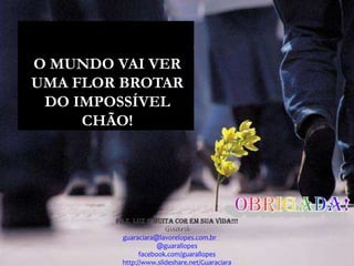 O MUNDO VAI VER
UMA FLOR BROTAR
 DO IMPOSSÍVEL
     CHÃO!




        PAZ, LUZ E MUITA COR EM SUA VIDA!!!
                        Guará
          guaraciara@lavorelopes.com.br
                      @guarallopes
                facebook.com/guarallopes
          http://www.slideshare.net/Guaraciara
 