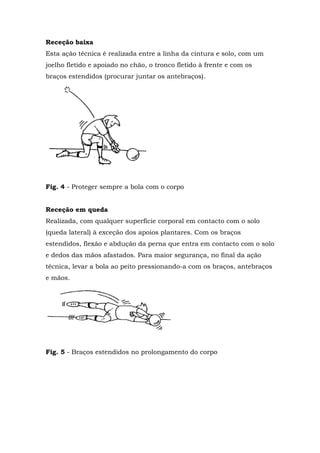 Receção baixa
Esta ação técnica é realizada entre a linha da cintura e solo, com um
joelho fletido e apoiado no chão, o tronco fletido à frente e com os
braços estendidos (procurar juntar os antebraços).
Fig. 4 - Proteger sempre a bola com o corpo
Receção em queda
Realizada, com qualquer superfície corporal em contacto com o solo
(queda lateral) à exceção dos apoios plantares. Com os braços
estendidos, flexão e abdução da perna que entra em contacto com o solo
e dedos das mãos afastados. Para maior segurança, no final da ação
técnica, levar a bola ao peito pressionando-a com os braços, antebraços
e mãos.
Fig. 5 - Braços estendidos no prolongamento do corpo
 