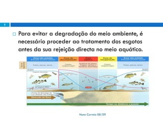  Para evitar a degradação do meio ambiente, é
necessário proceder ao tratamento dos esgotos
antes da sua rejeição directa no meio aquático.
Nuno Correia 08/09
5
 