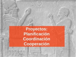 Proyectos:
Planificación
Coordinación
Cooperación