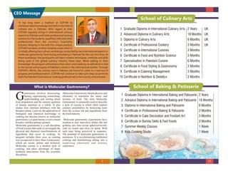 MOLECULAR GASTRONOMY, FOOD STYLING, PLATING