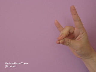 Nacionalismo Turco (El Lobo) 