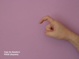 Ceja de Zapatero PSOE (España) 