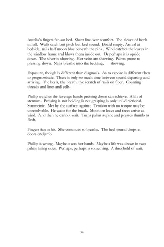 36
Aurelia‘s fingers fan on bed. Sheet line over comfort. The cleave of heels
in hall. Walls catch but pitch but keel sound. Board empty. Arrival at
bedside, nails half moon blue beneath the pink. Wind catches the leaves in
the window frame and blows them inside out. Or perhaps it is upside
down. The silver is showing. Her veins are showing. Palms prone to
pressing down. Nails breathe into the bedding, showing.
Exposure, though is different than diagnosis. As to expose is different then
to prognosticate. There is only so much time between sound departing and
arriving. The heels, the breath, the scratch of nails on fiber. Counting
threads and lines and cells.
Phillip watches the leverage hands pressing down can achieve. A lift of
sternum. Pressing is not holding is not grasping is only uni-directional.
Symmetric. Met by the surface, against. Tension with no torque may be
unresolvable. He waits for the break. Moon on leave and trees arrive as
wind. And then he cannot wait. Turns palms supine and presses thumb to
flesh.
Fingers fan in his. She continues to breathe. The heel sound drops at
doors endjamb.
Phillip is wrong. Maybe it was her hands. Maybe a life was drawn in two
palms lining sides. Perhaps, perhaps is something. A threshold of wait.
 
