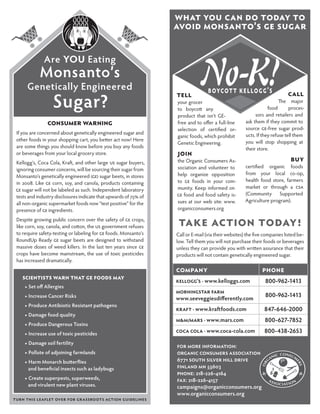 What you can do Today to
                                                                  avoid Monsanto’s ge sugar




                                                                               No-K!
              Are YOU Eating
            Monsanto’s
      Genetically Engineered                                                                                    ’
                  Sugar?
                                                                  tell                                                    call
                                                                  your grocer                                          The major
                                                                  to boycott any                                 food       proces-
                                                                  product that isn’t GE-                  sors and retailers and
                Consumer Warning                                  free and to offer a full-line      ask them if they commit to
                                                                  selection of certified or-         source GE-free sugar prod-
 If you are concerned about genetically engineered sugar and                                         ucts. If they refuse tell them
                                                                  ganic foods, which prohibit
 other foods in your shopping cart, you better act now! Here                                         you will stop shopping at
                                                                  Genetic Engineering.
 are some things you should know before you buy any foods                                            their store.
 or beverages from your local grocery store.                      join
 Kellogg’s, Coca Cola, Kraft, and other large US sugar buyers,    the Organic Consumers As-                                 buy
                                                                  sociation and volunteer to         certified organic foods
 ignoring consumer concerns, will be sourcing their sugar from
                                                                  help organize opposition           from your local co-op,
 Monsanto’s genetically engineered (GE) sugar beets, in stores
                                                                  to GE foods in your com-           health food store, farmers
 in 2008. Like GE corn, soy, and canola, products containing
                                                                  munity. Keep informed on           market or through a CSA
 GE sugar will not be labeled as such. Independent laboratory
                                                                  GE food and food safety is-        (Community      Supported
 tests and industry disclosures indicate that upwards of 75% of
                                                                  sues at our web site: www.         Agriculture program).
 all non-organic supermarket foods now “test positive” for the
 presence of GE ingredients.                                      organicconsumers.org

 Despite growing public concern over the safety of GE crops,
 like corn, soy, canola, and cotton, the US government refuses     take action today!
 to require safety-testing or labeling for GE foods. Monsanto’s   Call or E-mail (via their websites) the five companies listed be-
 RoundUp Ready GE sugar beets are designed to withstand           low. Tell them you will not purchase their foods or beverages
 massive doses of weed killers. In the last ten years since GE    unless they can provide you with written assurance that their
 crops have become mainstream, the use of toxic pesticides        products will not contain genetically engineered sugar.
 has increased dramatically.
                                                                  Company                                    Phone
    Scientists warn that GE foods may
                                                                  Kellogg’s · www.kelloggs.com                 800-962-1413
     ▶ Set off Allergies
                                                                  Morningstar Farm
     ▶ Increase Cancer Risks                                                                                   800-962-1413
                                                                  www.seeveggiesdifferently.com
     ▶ Produce Antibiotic Resistant pathogens
                                                                  Kraft · www.kraftfoods.com                  847-646-2000
     ▶ Damage food quality
                                                                  M&M/Mars · www.mars.com                      800-627-7852
     ▶ Produce Dangerous Toxins
     ▶ Increase use of toxic pesticides
                                                                  Coca Cola · www.coca-cola.com               800-438-2653
     ▶ Damage soil fertility
                                                                  For more information:
     ▶ Pollute of adjoining farmlands                             Organic Consumers Association
     ▶ Harm Monarch butterflies                                   6771 South Silver Hill Drive
       and beneficial insects such as ladybugs                    Finland MN 55603
                                                                  phone: 218-226-4164
     ▶ Create superpests, superweeds,                             Fax: 218-226-4157
       and virulent new plant viruses.                            campaigns@organicconsumers.org
                                                                  www.organicconsumers.org
Turn this leaflet over for grassroots action guidelines
 