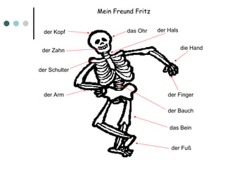 Mein Freund Fritz der Kopf das Ohr der Zahn der Schulter der Arm der Finger die Hand das Bein der Fu ß der Hals der Bauch 
