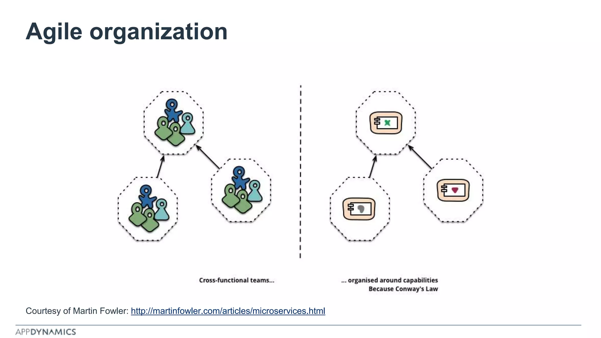 Agile organization
Courtesy of Martin Fowler: http://martinfowler.com/articles/microservices.html
 