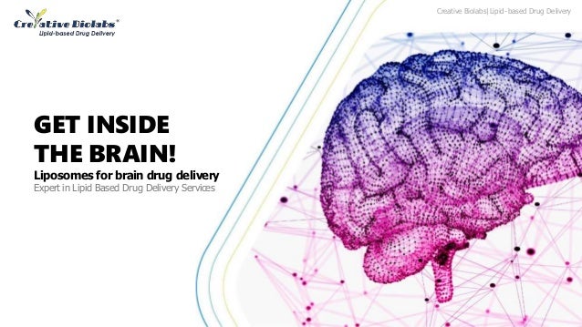 GET INSIDE
THE BRAIN!
Liposomes for brain drug delivery
Expert in Lipid Based Drug Delivery Services
Creative Biolabs|Lipid-based Drug Delivery
 