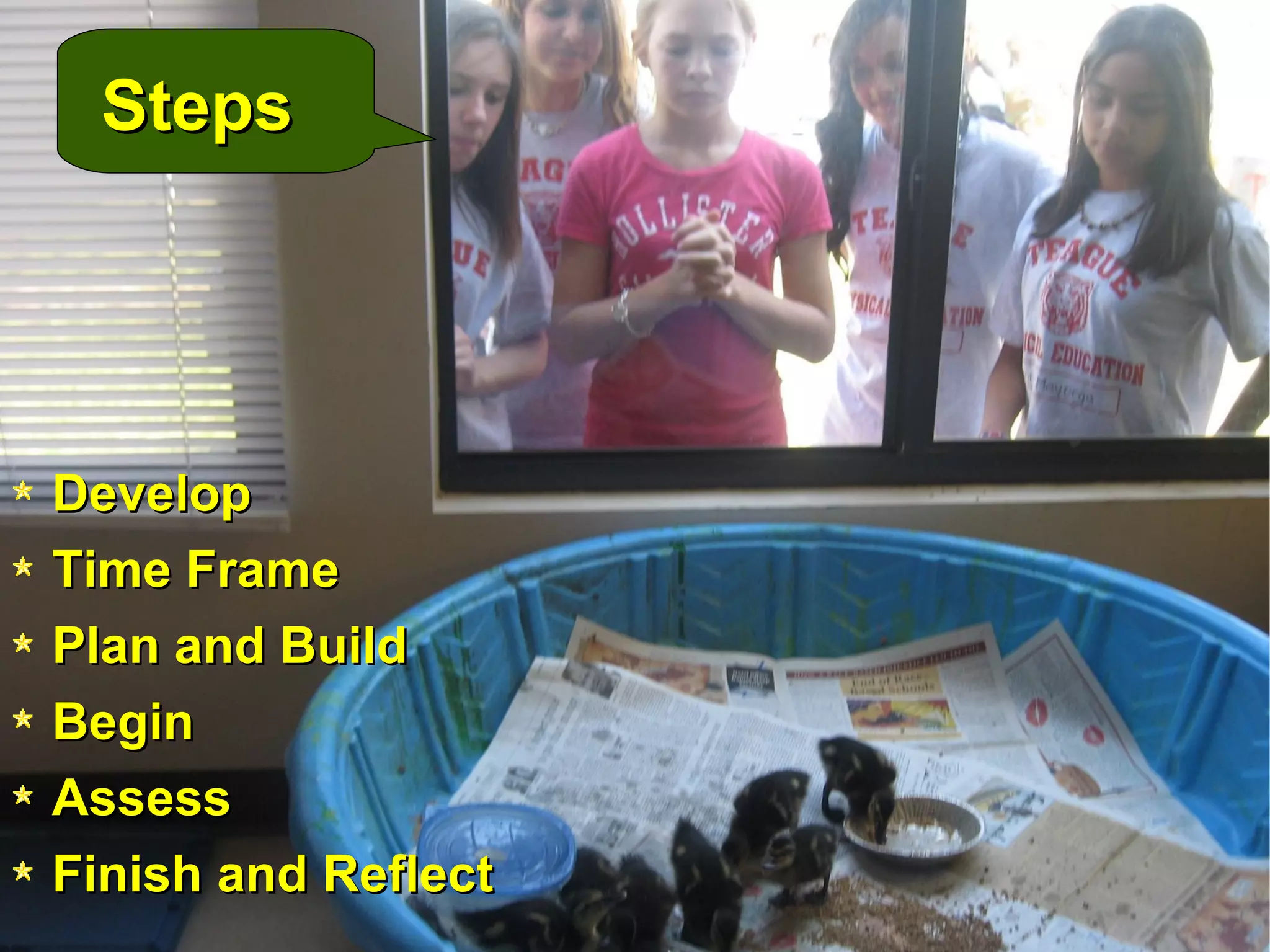 Steps Develop  Time Frame Plan and Build  Begin  Assess  Finish and Reflect 