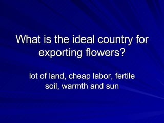 What is the ideal country for exporting flowers? lot of land, cheap labor, fertile soil, warmth and sun 