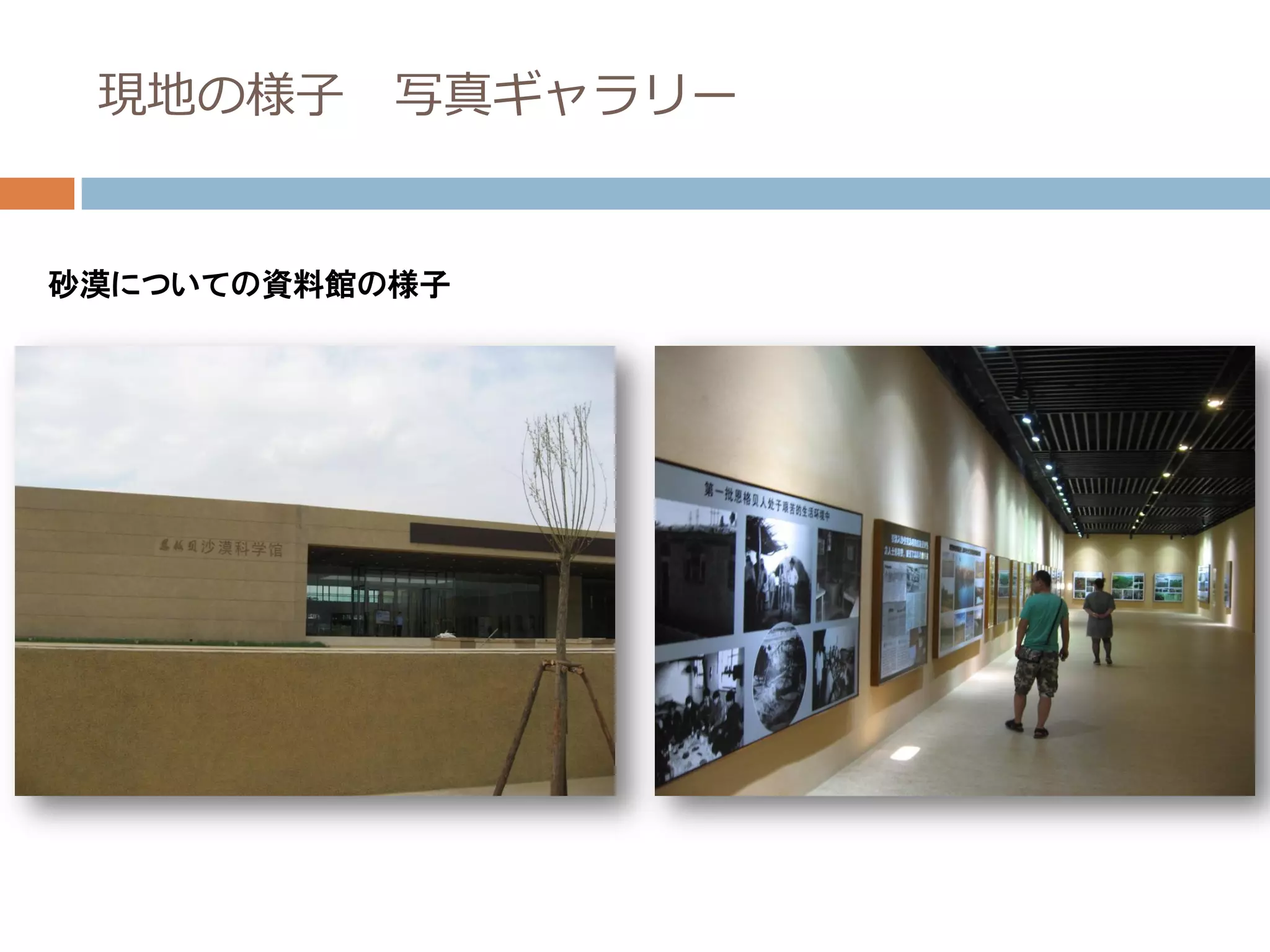 現地の様子     写真ギャラリー


砂漠についての資料館の様子
 