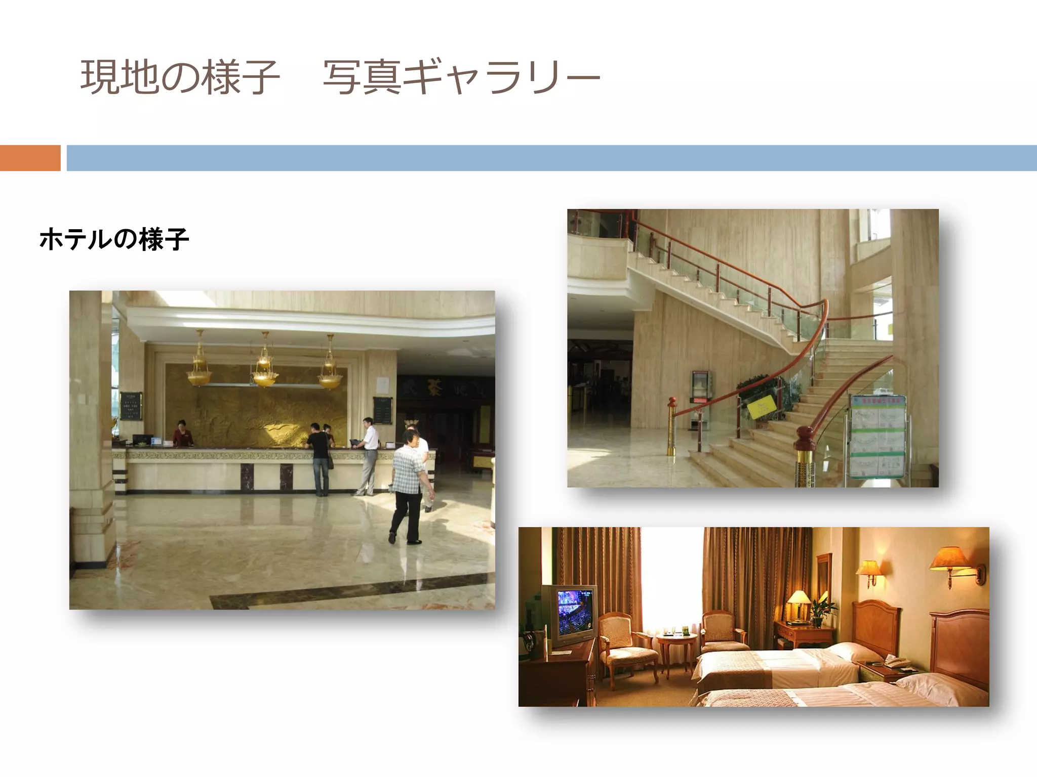 現地の様子   写真ギャラリー


ホテルの様子
 