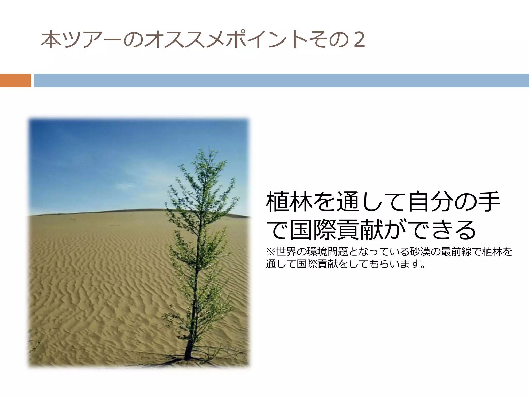 本ツアーのオススメポイントその２




          植林を通して自分の手
          で国際貢献ができる
          ※世界の環境問題となっている砂漠の最前線で植林を
          通して国際貢献をしてもらいます。
 