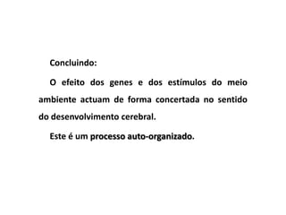 Concluindo:

  O efeito dos genes e dos estímulos do meio
ambiente actuam de forma concertada no sentido
do desenvolvimento cerebral.

  Este é um processo auto-organizado.
 