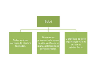 Bebé



                            Durantes os
                                              O processo de auto-
  Todas as áreas       primeiros seis meses
                                              organização não irá
corticais do cérebro   de vida verificam-se
                                                   acabar na
     formadas.         muitas alterações no
                                                 adolescência.
                          córtex cerebral.
 