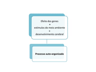 Efeito dos genes
             +
estímulos do meio ambiente
             =
 desenvolvimento cerebral




Processo auto-organizado
 