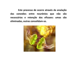 Este processo de ocorre através da anulação
das conexões entre neurónios que não são
necessárias e retenção das eficazes: umas são
eliminadas, outras consolidam-se.
 