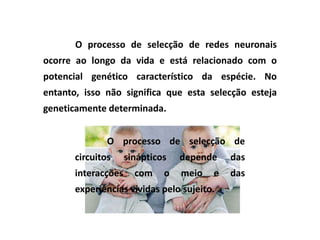 O processo de selecção de redes neuronais
ocorre ao longo da vida e está relacionado com o
potencial genético característico da espécie. No
entanto, isso não significa que esta selecção esteja
geneticamente determinada.


               O processo de selecção de
       circuitos     sinápticos   depende    das
       interacções     com    o   meio   e   das
       experiências vividas pelo sujeito.
 