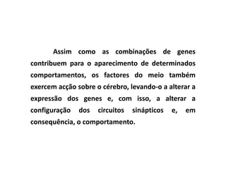 Assim como as combinações de genes
contribuem para o aparecimento de determinados
comportamentos, os factores do meio também
exercem acção sobre o cérebro, levando-o a alterar a
expressão dos genes e, com isso, a alterar a
configuração   dos   circuitos   sinápticos   e,   em
consequência, o comportamento.
 