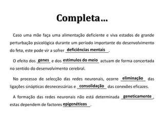 Completa…
 Caso uma mãe faça uma alimentação deficiente e viva estados de grande
perturbação psicológica durante um período importante do desenvolvimento
                                 deficiências mentais
do feto, este pode vir a sofrer ___________________.

               genes       estímulos do meio
 O efeito dos ______ e dos ________________ actuam de forma concertada
no sentido do desenvolvimento cerebral.

                                                      eliminação
 No processo de selecção das redes neuronais, ocorre ___________ das
                                      consolidação
ligações sinápticas desnecessárias e _____________ das conexões eficazes.

                                                      geneticamente
 A formação das redes neuronais não está determinada ______________,
estas dependem de factores epigenéticos
                           ____________.
 