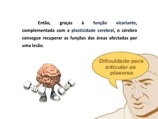 Então,    graças    à    função     vicariante,
complementada com a plasticidade cerebral, o cérebro
consegue recuperar as funções das áreas afectadas por
uma lesão.
 