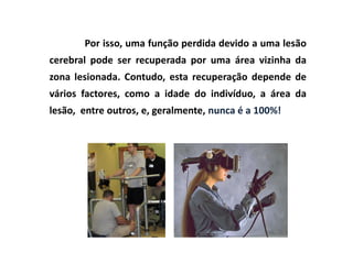Por isso, uma função perdida devido a uma lesão
cerebral pode ser recuperada por uma área vizinha da
zona lesionada. Contudo, esta recuperação depende de
vários factores, como a idade do indivíduo, a área da
lesão, entre outros, e, geralmente, nunca é a 100%!
 
