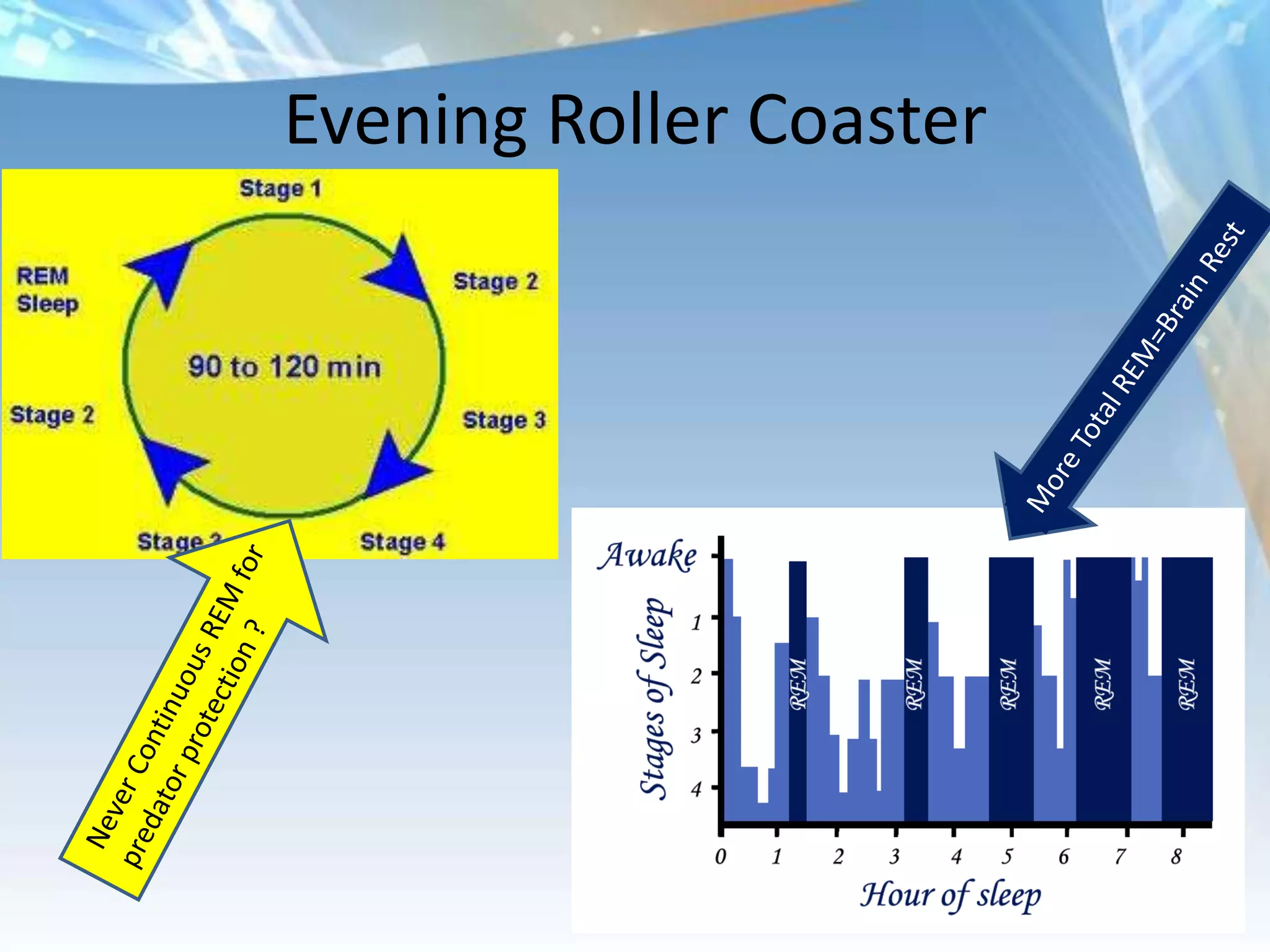 Evening Roller Coaster
 