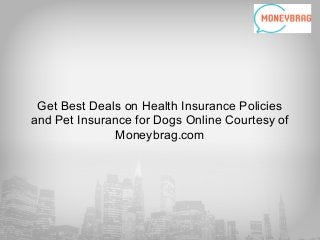 Get Best Deals on Health Insurance Policies
and Pet Insurance for Dogs Online Courtesy of
Moneybrag.com
 