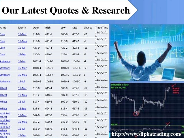 Best options trading service