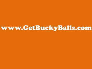 www.GetBuckyBalls.com 