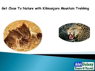Get Close To Nature with Kilimanjaro Mountain Trekking 
 