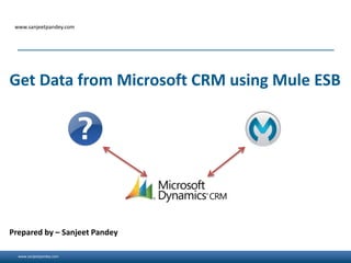 www.sanjeetpandey.com
www.sanjeetpandey.com
Prepared by – Sanjeet Pandey
Get Data from Microsoft CRM using Mule ESB
 