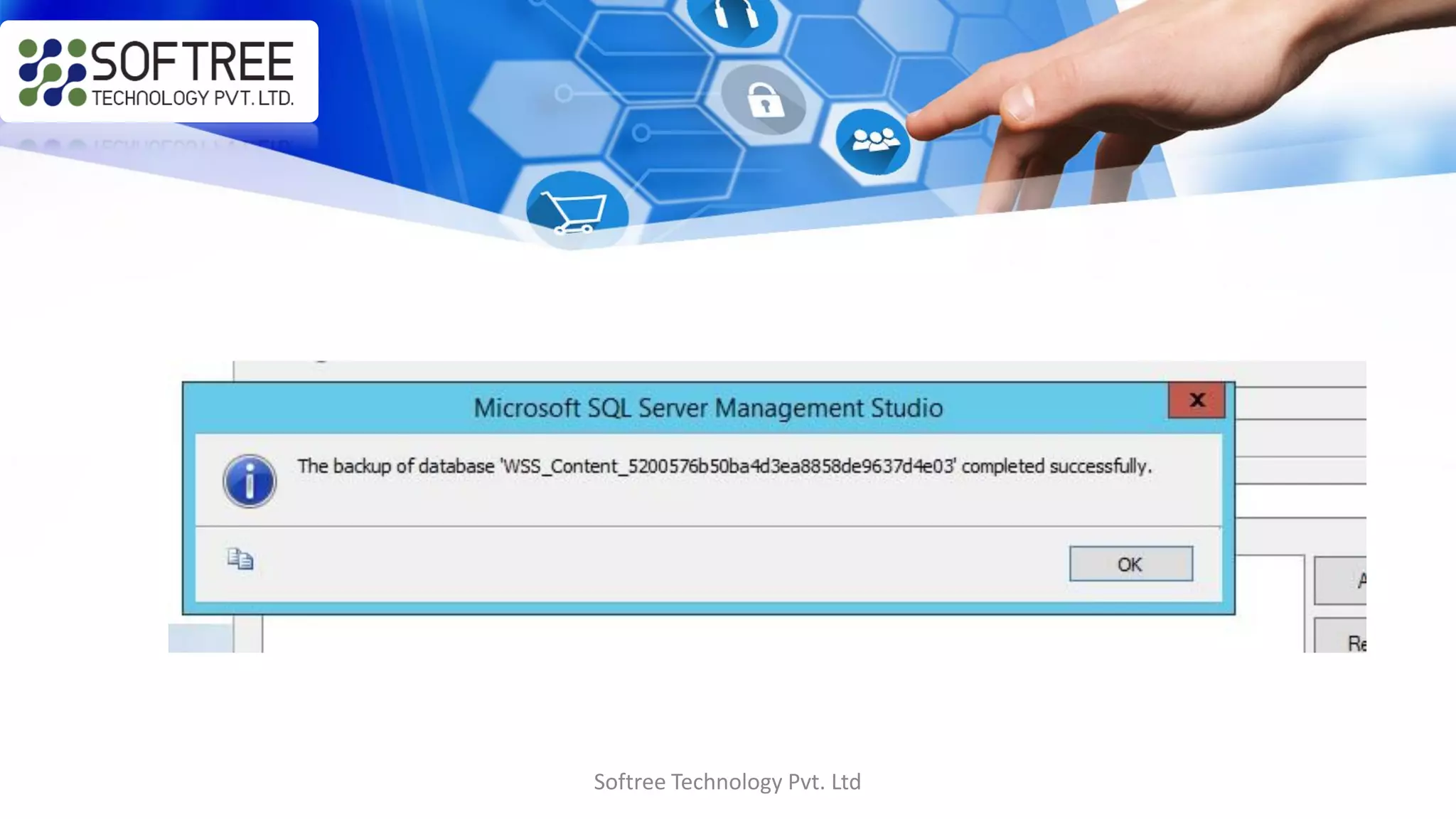 Softree Technology Pvt. Ltd
 