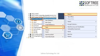 Softree Technology Pvt. Ltd
 