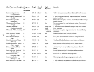 Plant Name and DescriptionEvergreen   Height Growth      Light         Remarks
                               or                 Rate*       Required
                               Deciduous
     Koelreuteria paniculata        D      30'-40' M to F     Sun           Yellow flowers in summer. Somewhat weak branch structure.
            (Goldenraintree)
     Lagerstroemia indica (Crape    D      15-20'    M        Sun           A favorite multi-stem summer flowering small tree. Numerous
            Myrtle)                                                         cultivars available.
     Liquidambar styraciflua        D      50-75'    M        Sun           Fruit can become quite a nuisance. “Rotundiloba” is becoming a
            (Sweetgum)                                                      popular cultivar.
     Maclura pomifera (Osage-       D      20'-40'   F        Sun           Not recommended for small residential setting. Thorns can be
            orange)                                                         quite painful.
     Magnolia grandiflora           E      60-70'    M        Sun to Part   A favorite evergreen that needs plenty of room. Best to leave
            (Southern Magnolia)                               Shade         lower branches.
     Morus alba (White Mulberry)    D      30-50'    F        Full Sun to   Somewhat messy tree- large coarse leaves - abundant fruiting
                                                              Light Shade   capabilities.
     Picea pungens (Colorado        E      30'-60' S to M     Sun           Blue-gray foliage - many cultivars available.
20




              Spruce)
     Pinus virginiana (Virginia     E      15'-40' M          Sun           Not a great ornamental but a functional evergreen screen.
              Pine)
     Pistachia chinenss (Chinese    D      30'-35' M          Sun           Excellent fall color. Resistant to most insects and diseases.
              Pistache)
     Prunus caroliniana (Carolina   E      20-30'    F        Shade         Good medium-sized evergreen tree for shaded spaces.
              Cherry Laurel)
     Prunus cerasifera (Cherry      D      15'-30'   F        Sun           Atropurpurea’ is most popular variety because of purple
              Plum)                                                         foliage.
     Pyrus calleryana ‘Bradford’    D      35-50'    F        Sun           Popular fast-growing early-blooming medium-sized tree.
              (Bradford Pear)
     Quercus acutissima             D      35-50'    M to F   Sun           Nice clean oak. For lawns or large planters.
              (Sawtooth Oak)
     Quercus marilandica            D      30-40'    S        Sun           Shrubby type oak often growing in poor, sandy soils.
              (Blackjack Oak)
     Quercus stellata (Post Oak)    D      40'-50' S          Sun           A good shade tree for poor soils. Nondescript characteristics.
 