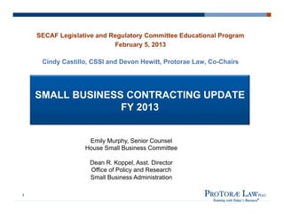 SMALL BUSINESS CONTRACTING UPDATE
FY 2013
SECAF Legislative and Regulatory Committee Educational Program
February 5, 2013
Cindy Castillo, CSSI and Devon Hewitt, Protorae Law, Co-Chairs
1
Emily Murphy, Senior Counsel
House Small Business Committee
Dean R. Koppel, Asst. Director
Office of Policy and Research
Small Business Administration
 