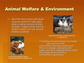 Animal Welfare & Environment All of the farms that Café Soleil sources meat from take great pride in being humane to their animals.  Cates Family Farm & Willow Creek Farm are Animal Welfare Certified Treating animal livestock humanely  also improves the environment that surrounds them.  This is in drastic contrast to the water, soil, & air pollution that comes from large factory farms or confinement operations Happy Berkshire Pigs at Willow Creek Farm  in Loganville, WI Free roaming Highland Cattle at Fountain Pairie Farm in Fall River, WI 