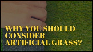 WHY YOU SHOULD
CONSIDER
ARTIFICIAL GRASS?
 
