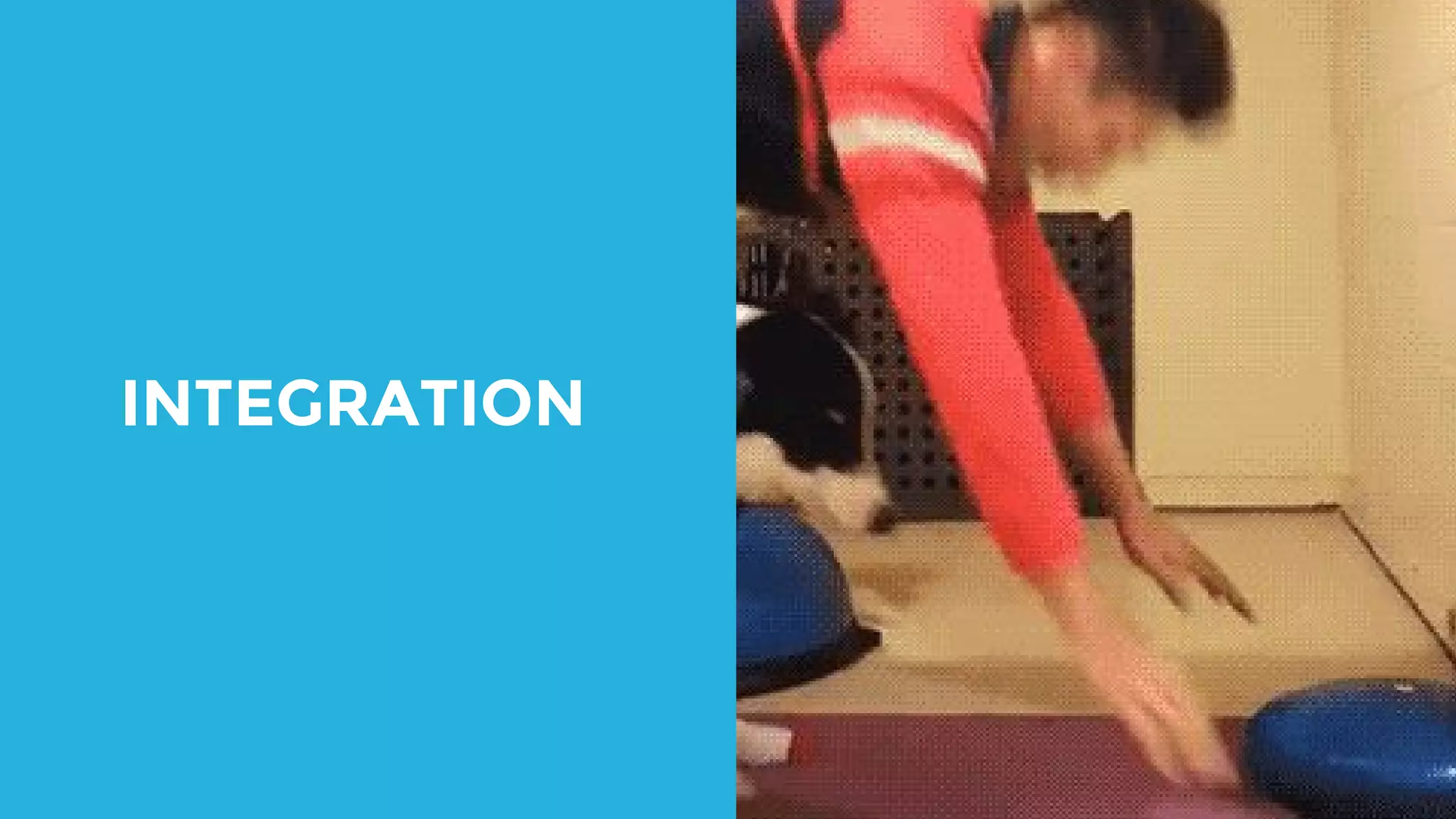 INTEGRATION 