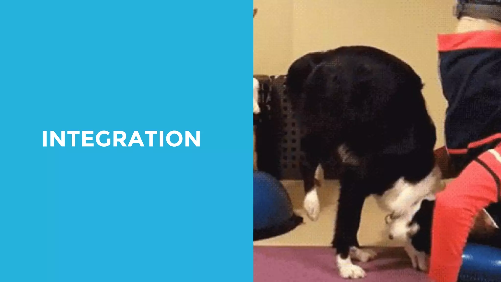 INTEGRATION 
