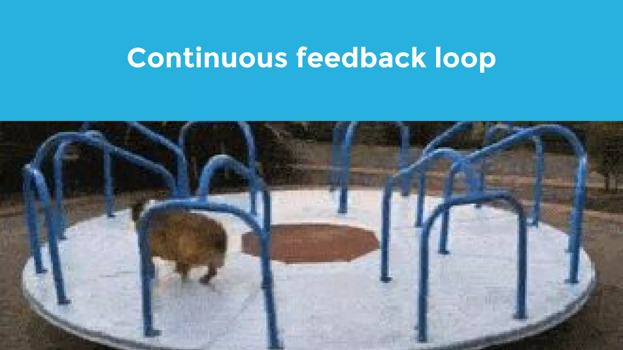 Continuous feedback loop 