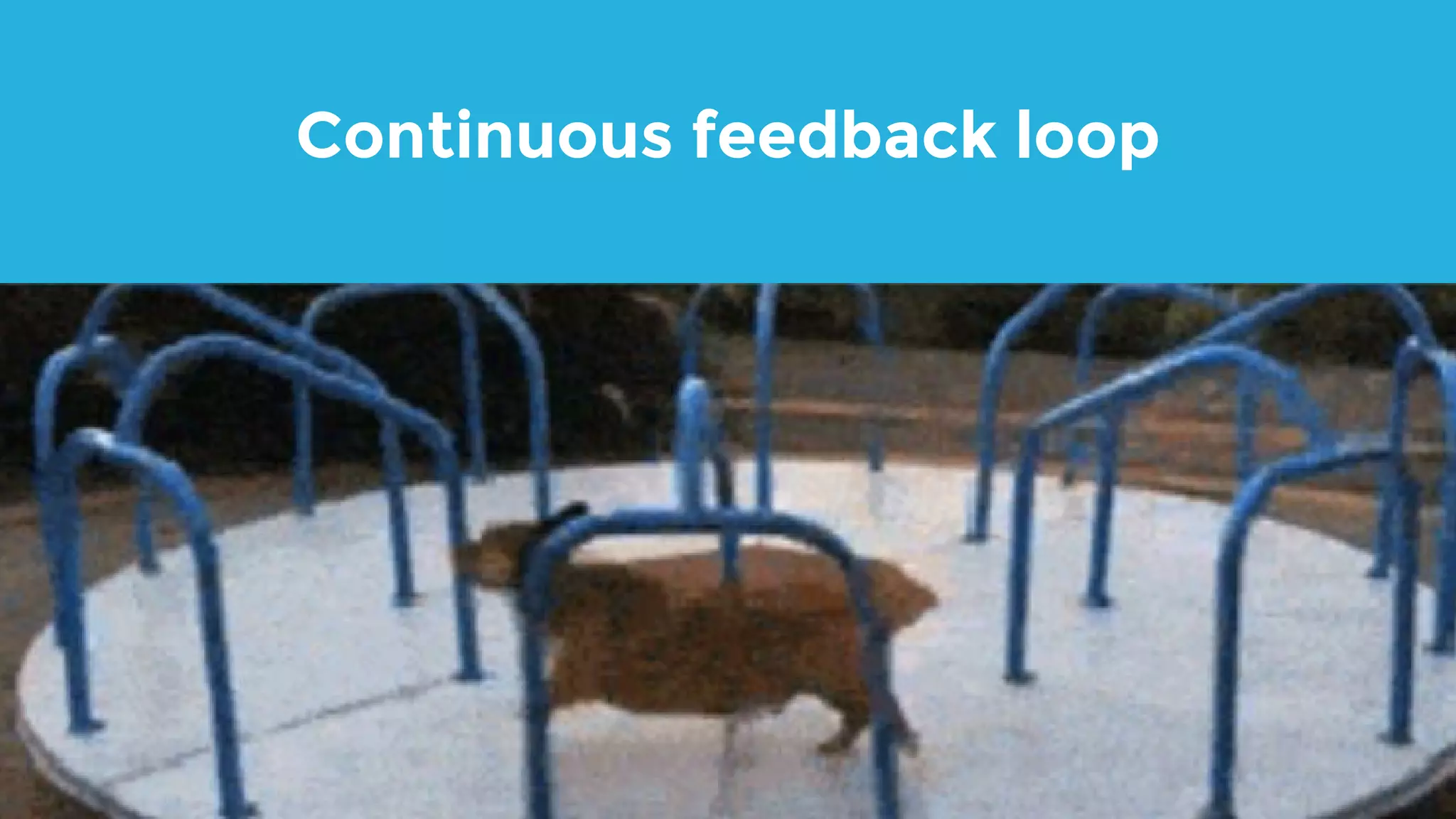 Continuous feedback loop 