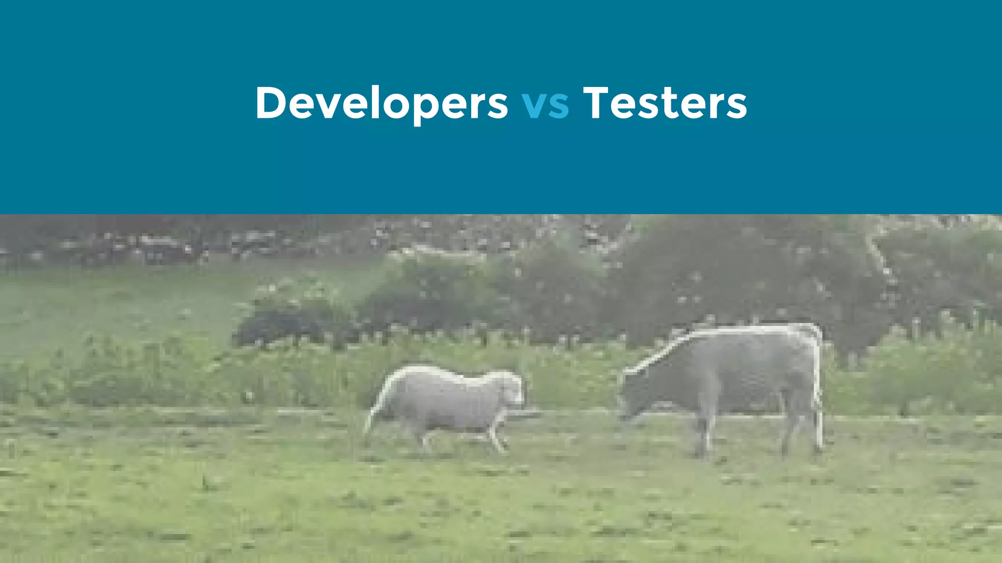 Developers vs Testers 