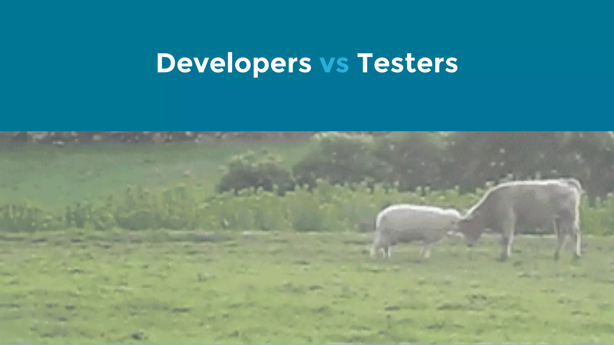 Developers vs Testers 